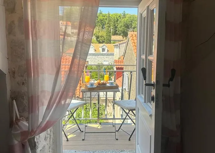 Agava * 察夫塔特